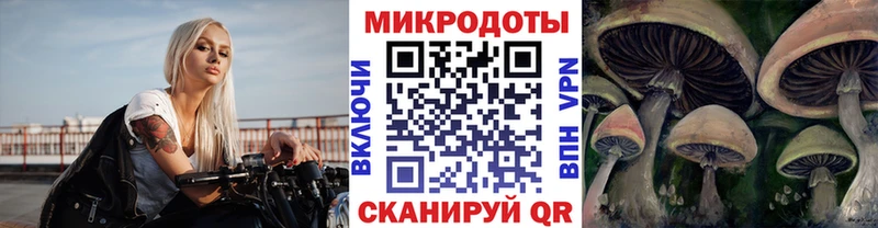 где купить   Брянск  Псилоцибиновые грибы мицелий 